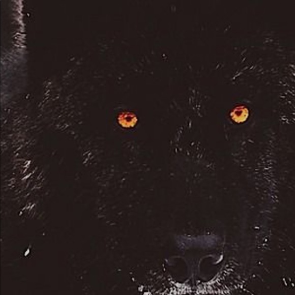 Meet your Posher, Keith - Picture 1 of 1